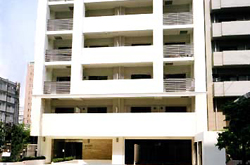 �V���}���V����